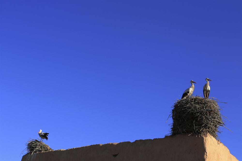 Riad Aladdin Marrakesh Extérieur photo